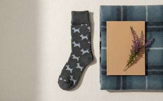 A Guide to Scottish Dog Breeds for Gift Shop Curation