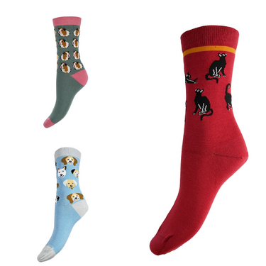 Favourite pets bundle - 3 pairs of ladies' bamboo socks