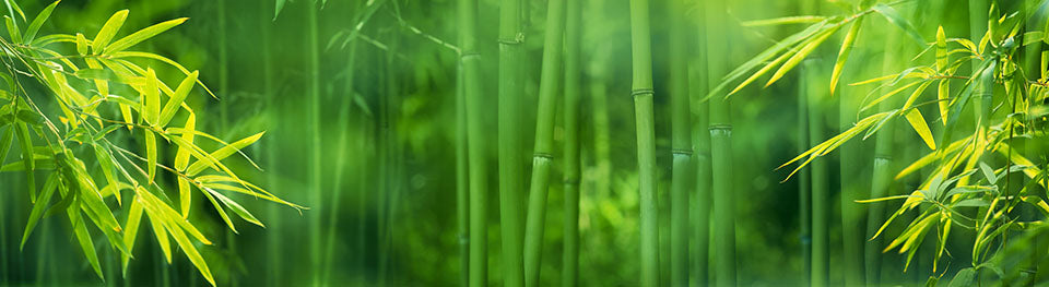 Fast growing bamboo fibre is a sustainable fibre that can produce higher yields using less water and pesticides than cotton.